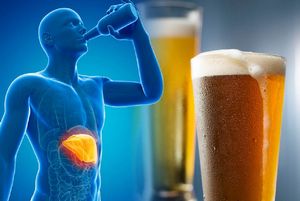 Влияние пива на организм человека